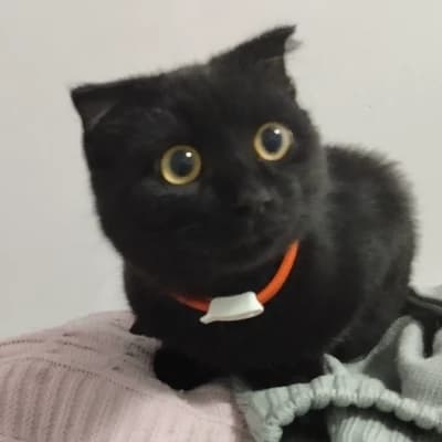 Kuzya thumbnail