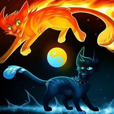 Warrior cats  thumbnail