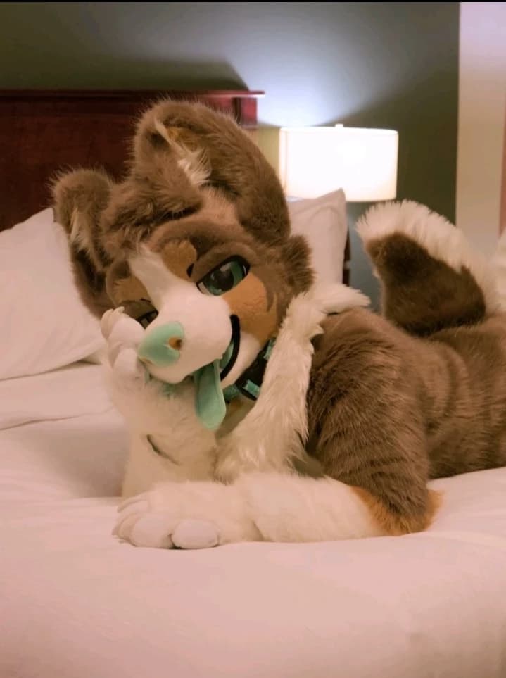 Kyro thumbnail