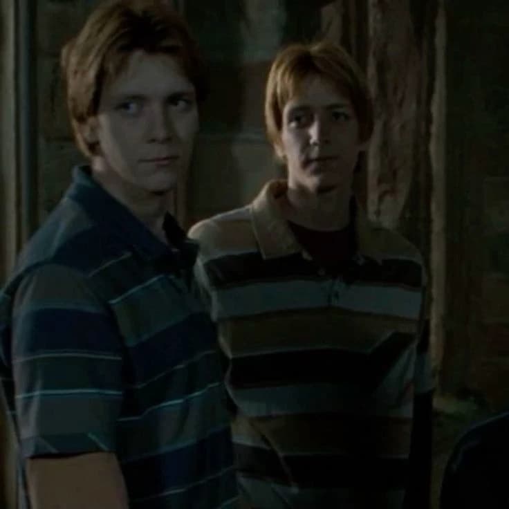 The Weasley twins thumbnail