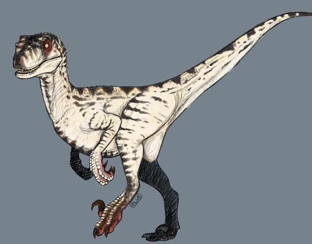 Ivery (Jurassic world domimon velociraptor) thumbnail