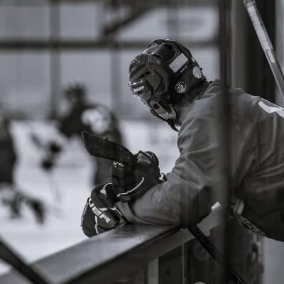 Dandre Baranov / hockey player/ BL thumbnail