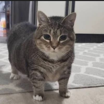 Ethel thumbnail