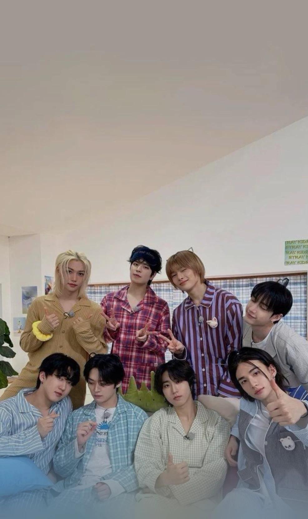 Stray kids- SKZ thumbnail
