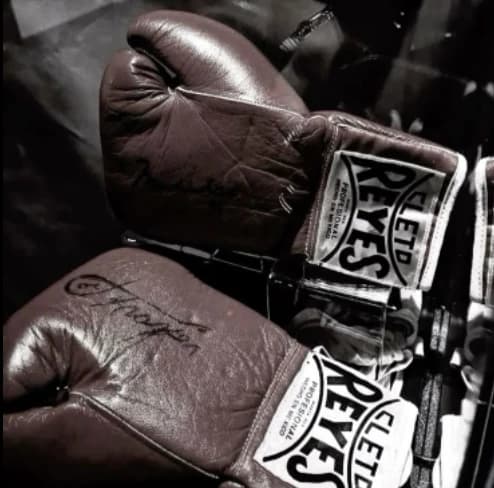 Boxer 🥊 thumbnail