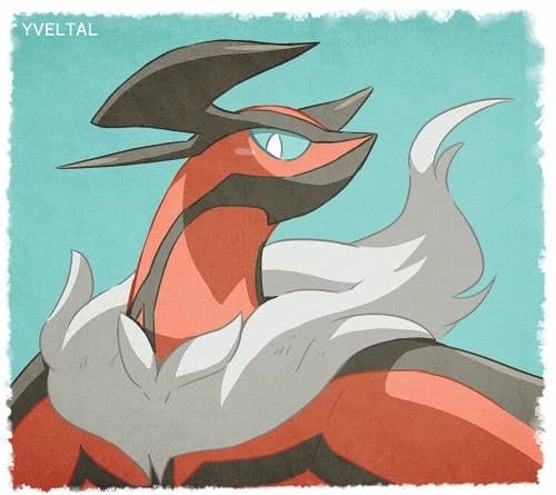 Yveltal thumbnail