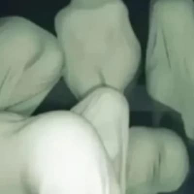 The Five Ghost Gals thumbnail