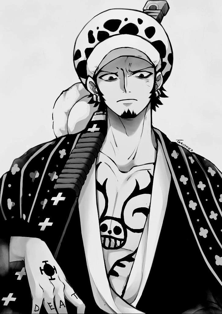 Trafalgar D. Water Law thumbnail