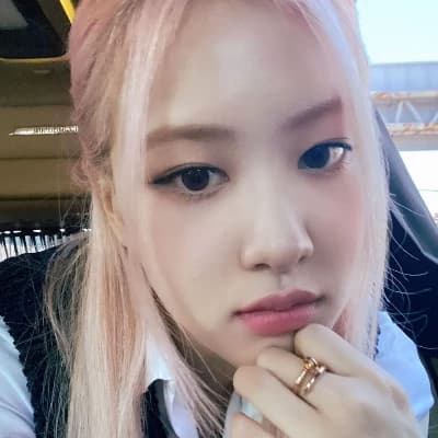Rose 'Lam' thumbnail