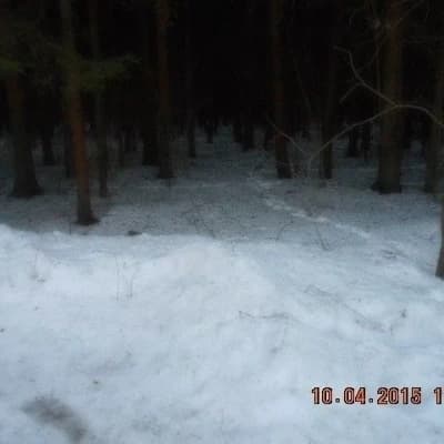 Eastwood Forest and its mysteries... thumbnail