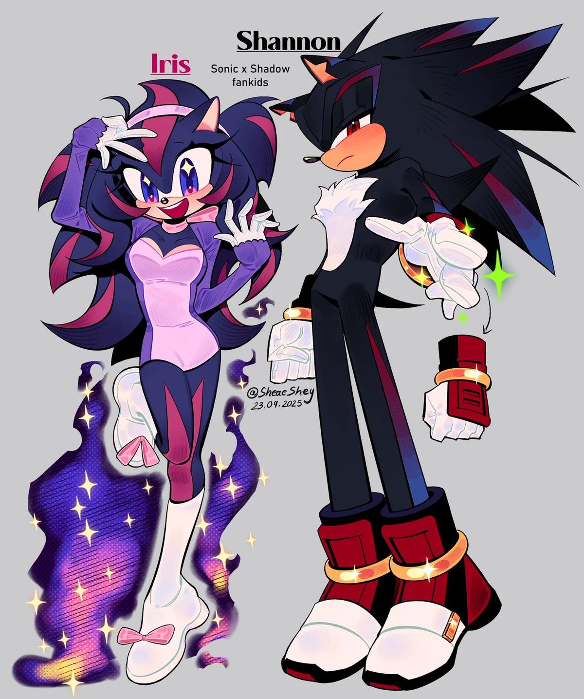 Shannon the hedgehog thumbnail
