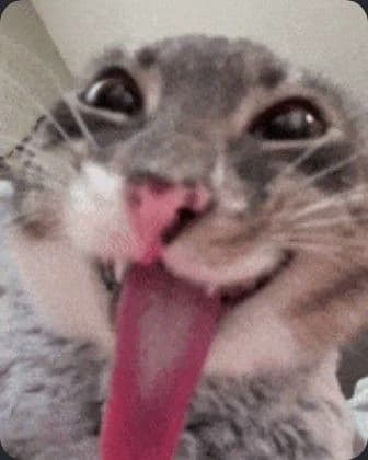 Cat thumbnail