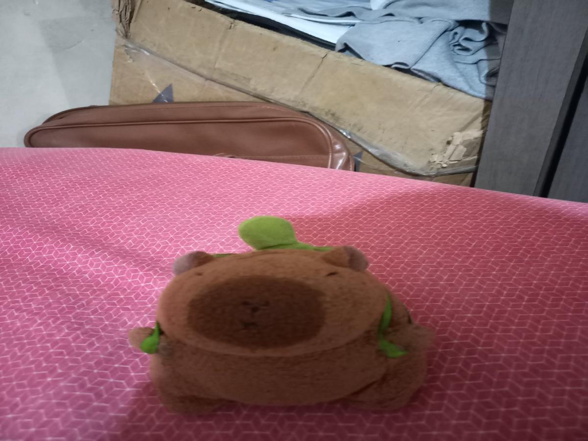 Riky (capybara) thumbnail