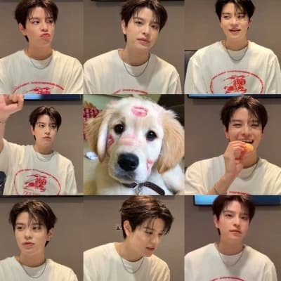 Seunge thumbnail