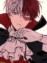 Shoto Todoroki thumbnail