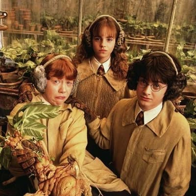 Harry Potter - cast thumbnail