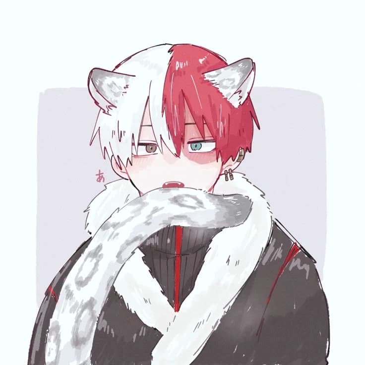 shoto todoroki thumbnail