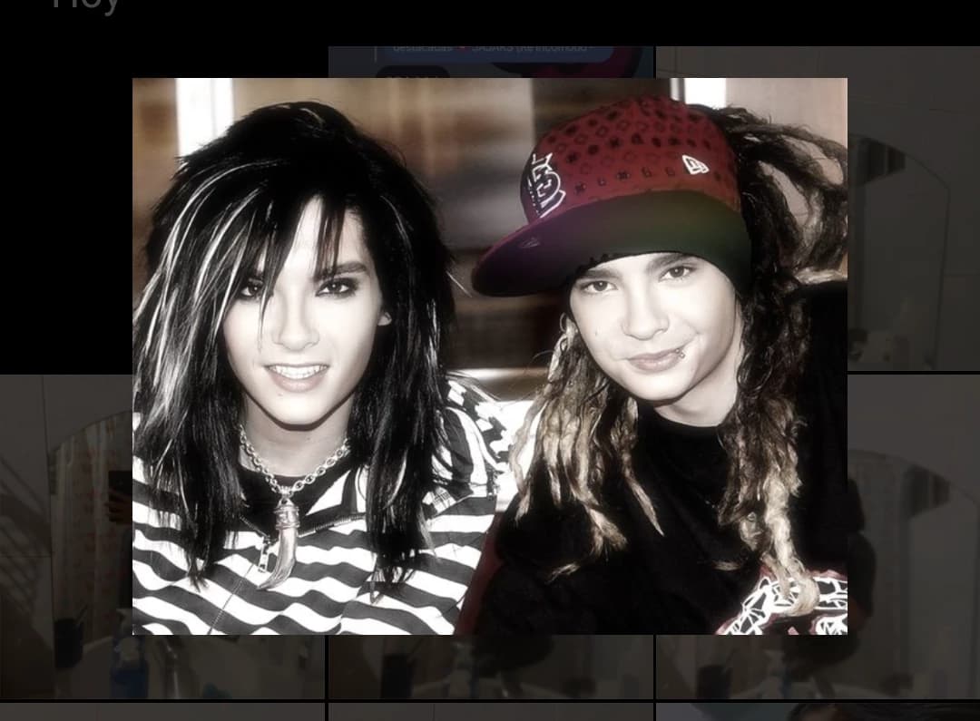 The Kaulitz twins|Secondary thumbnail