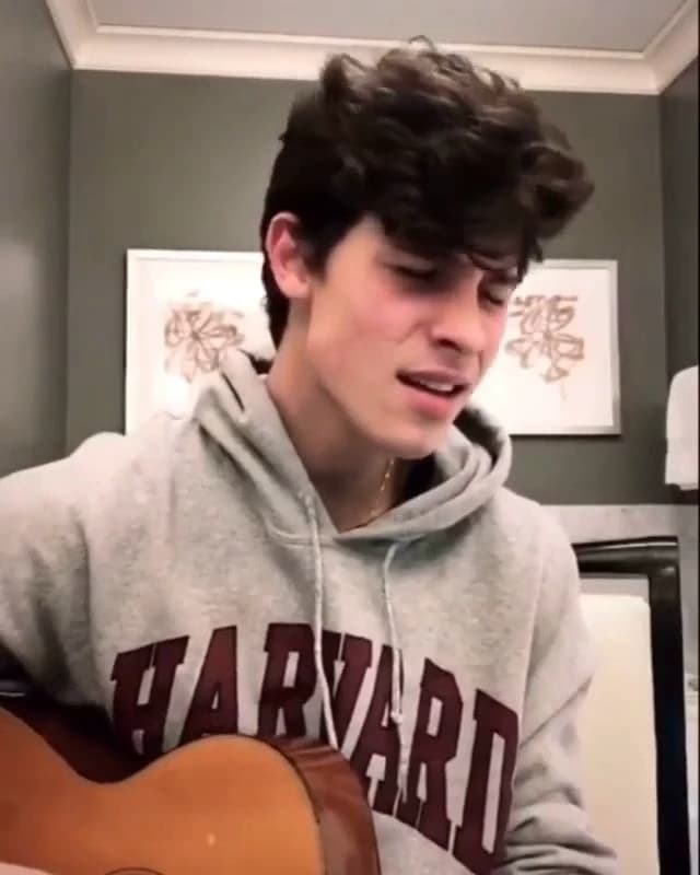 Shawn Mendes thumbnail