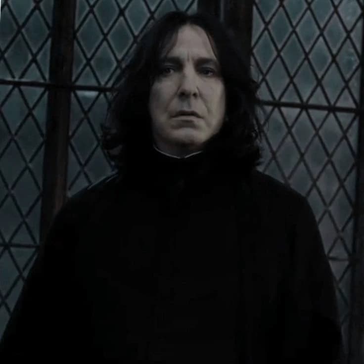 Hogwarts - Snape and the others thumbnail