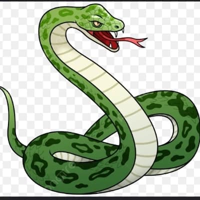 You're a snake thumbnail