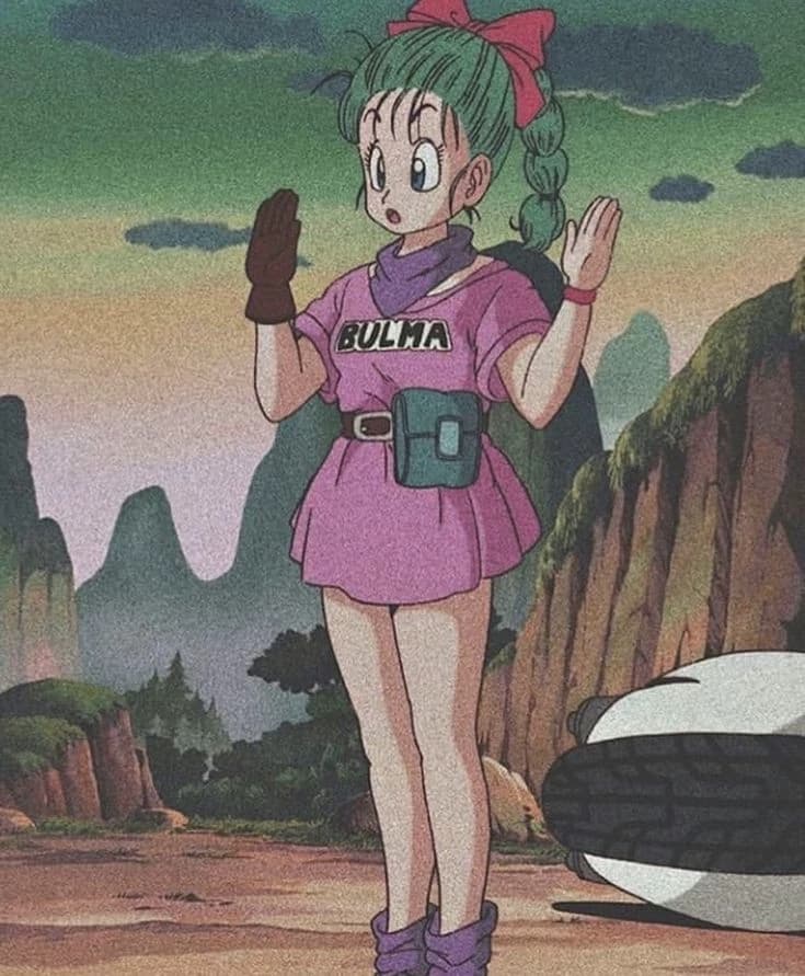 Bulma Briefs thumbnail