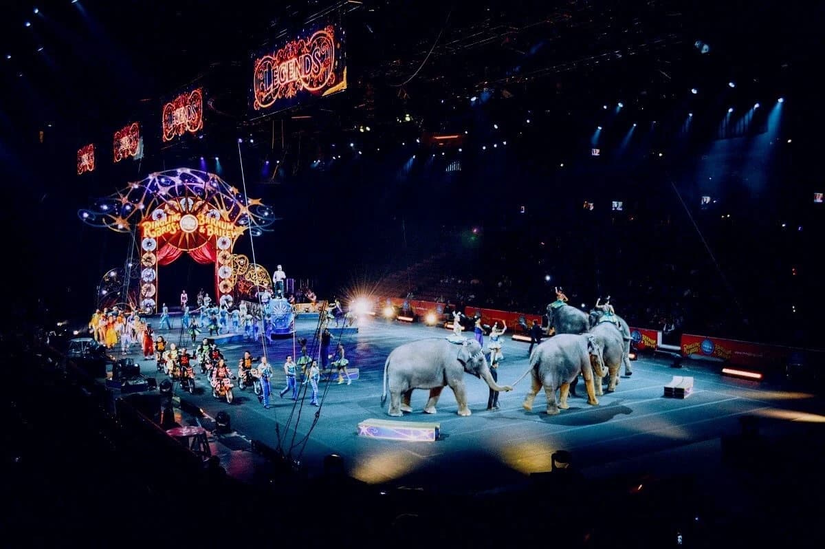 The circus of no return thumbnail