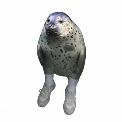 Luis the Seal thumbnail