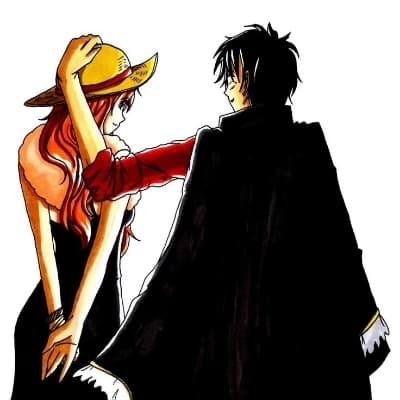 Nami and Luffy shares a bedroom thumbnail