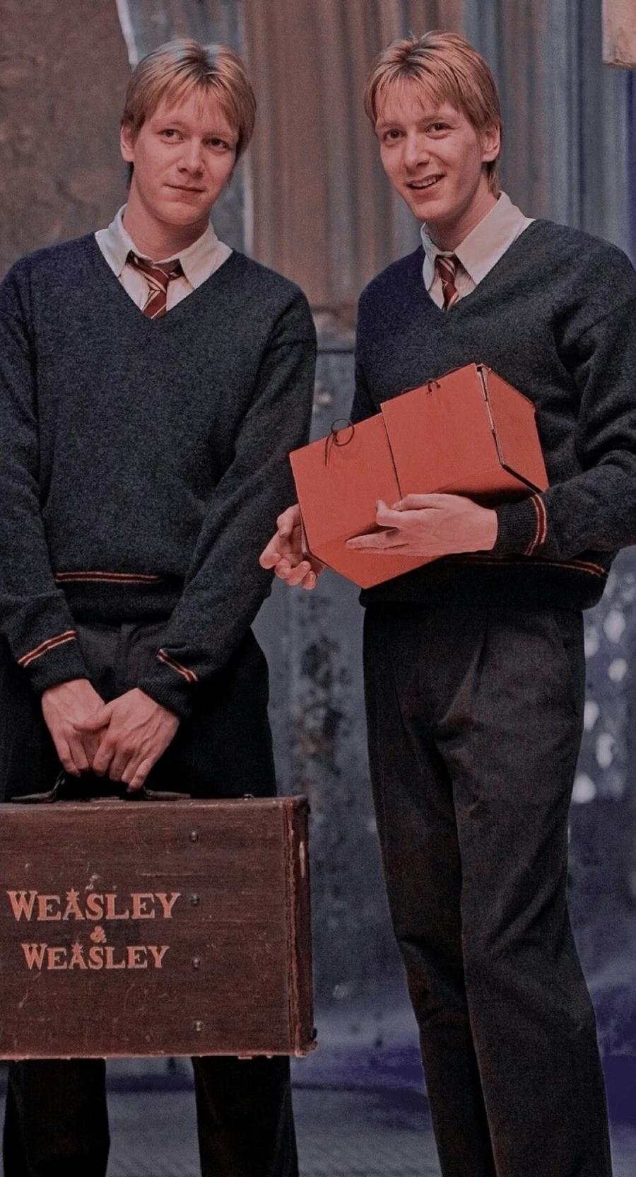 Weasley Twins - The Clover of Chaos thumbnail
