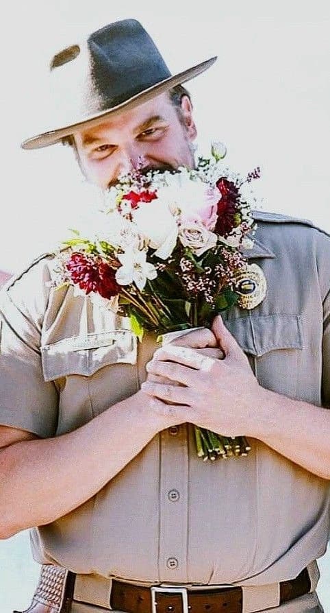 Jim Hopper thumbnail