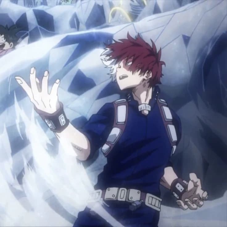 Todoroki thumbnail