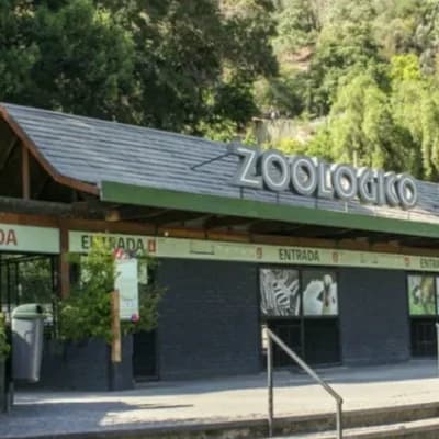 Negligent zoo thumbnail