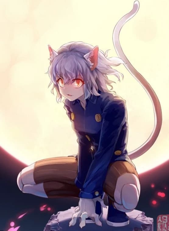 Pitou thumbnail