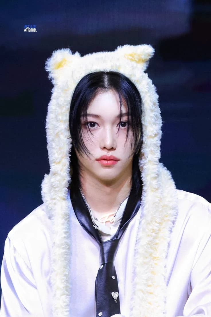 Lee Felix // Cat version's thumbnail