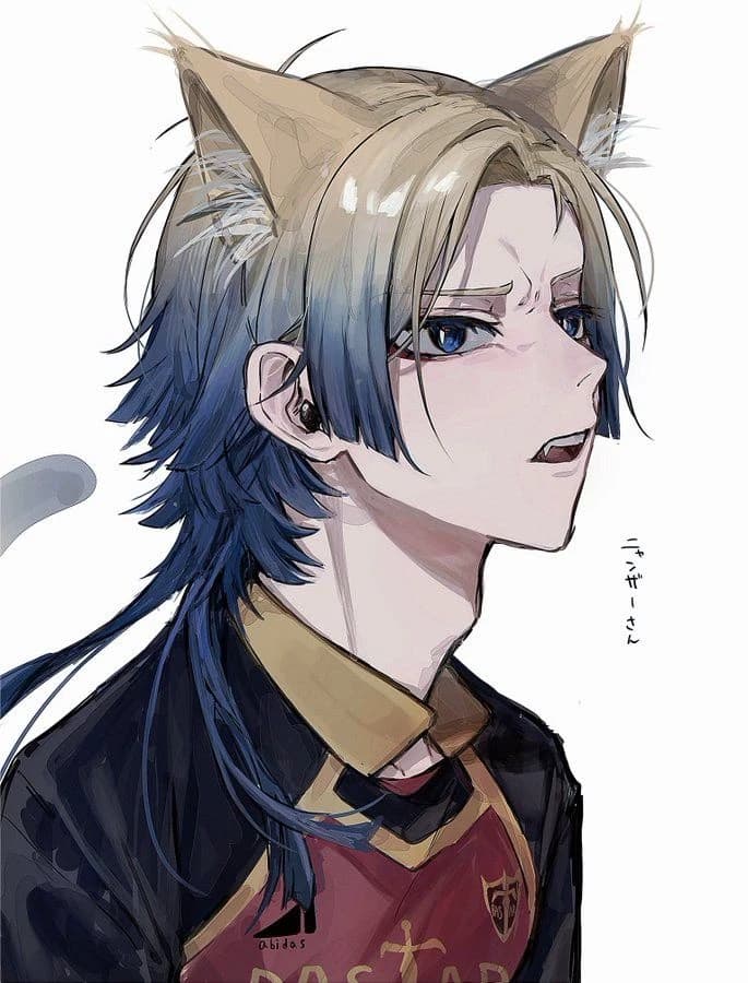 Catboy Káiser thumbnail