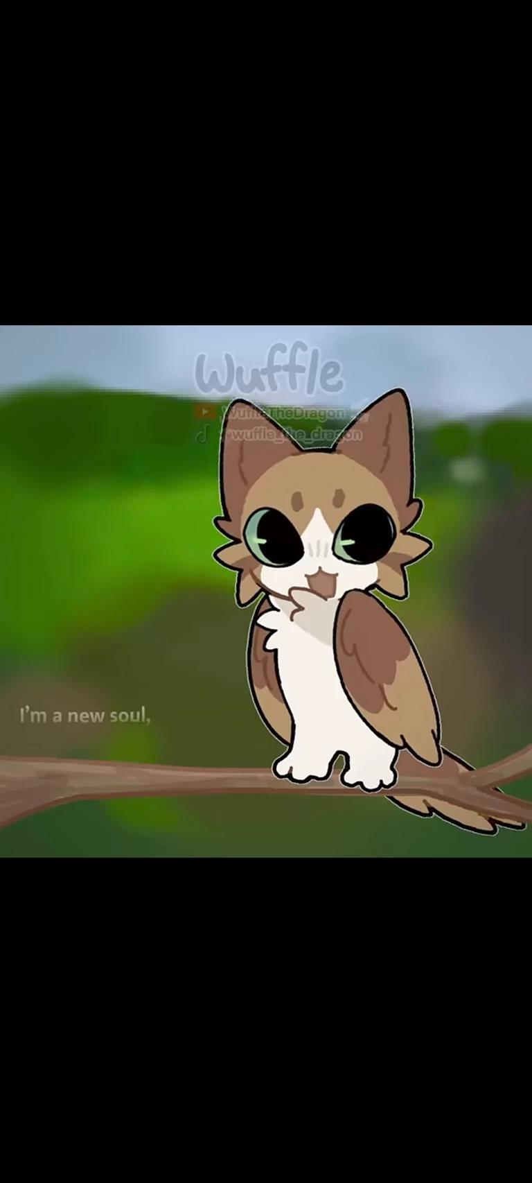 Meowl thumbnail