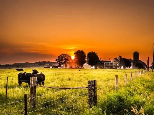 Fazenda dos avós  thumbnail