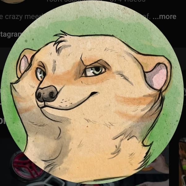 garret claridge meerkat thumbnail