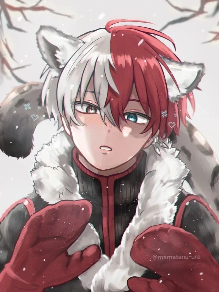 shoto todoroki thumbnail