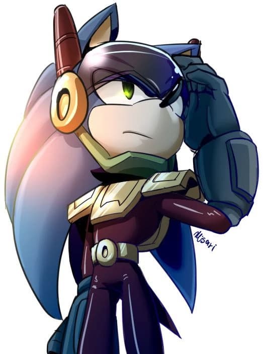 Zonic the hedgehog thumbnail