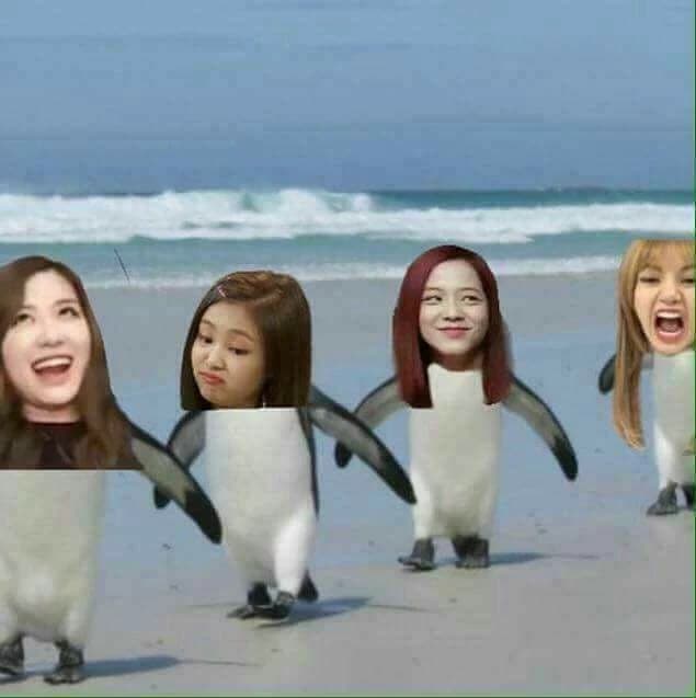 Blackpink thumbnail