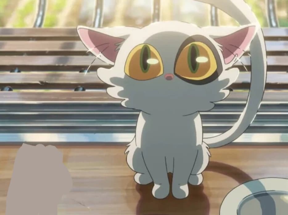 Your brother...cat thumbnail