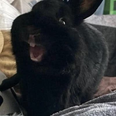 Black Pussy thumbnail