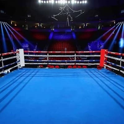 Boxing stage thumbnail