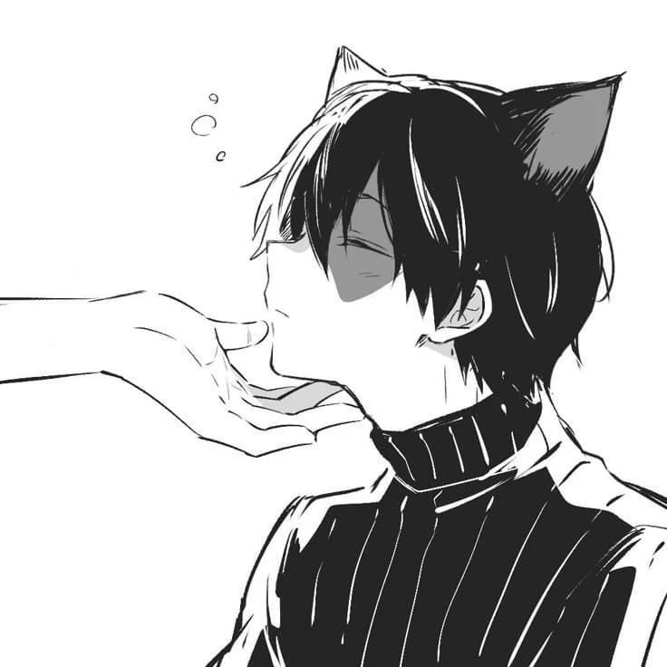 shoto todoroki thumbnail