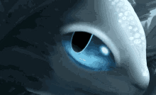 Luna thumbnail