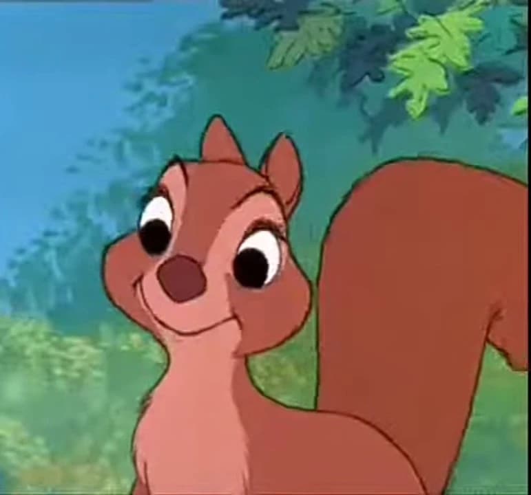 Flirty female redhead squirrel 2 thumbnail