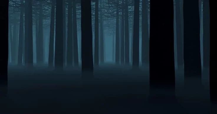A floresta thumbnail