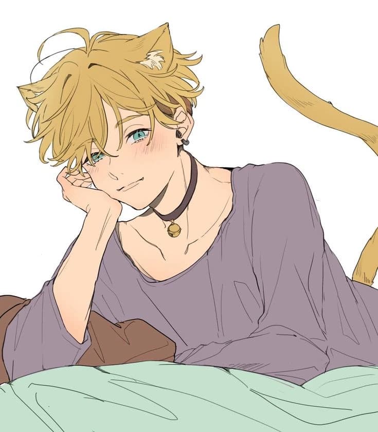 Bajifuyu thumbnail